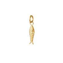 Afbeelding in Gallery-weergave laden, Hanger Goldy fish

